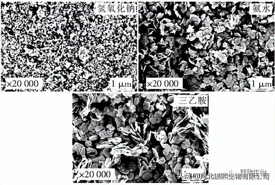 Fig.4 SEM images of Mg(OH)2 prepared by direct hydrothermal method with different precipitant