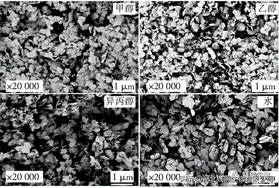 Fig.6 SEM images of magnesium hydroxide prepared by hydrothermal method with different organic solvents