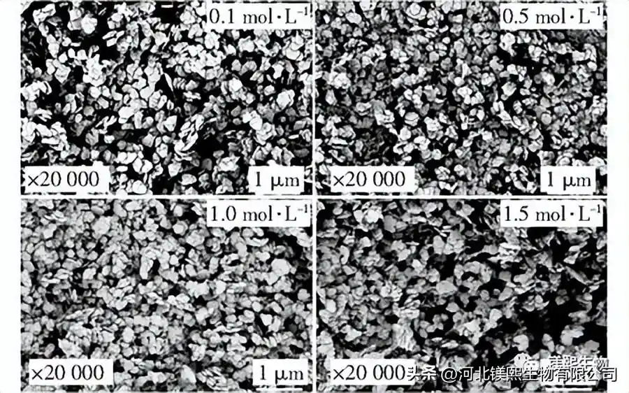 Fig.8 SEM images of Mg(OH)2 prepared by hydrothermal method with different concentrations of mineralizer