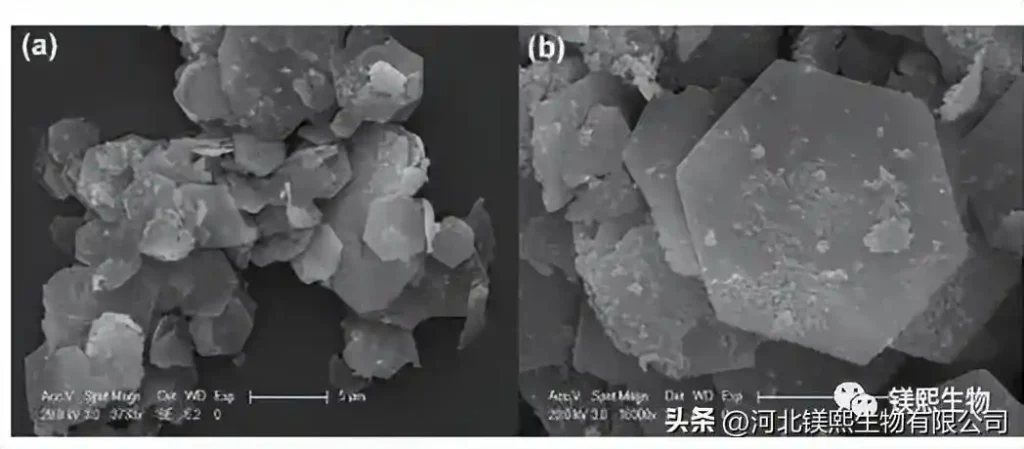 Preparation and Application Properties of Hexagonal Flake Magnesium Hydroxide Flame Retardant