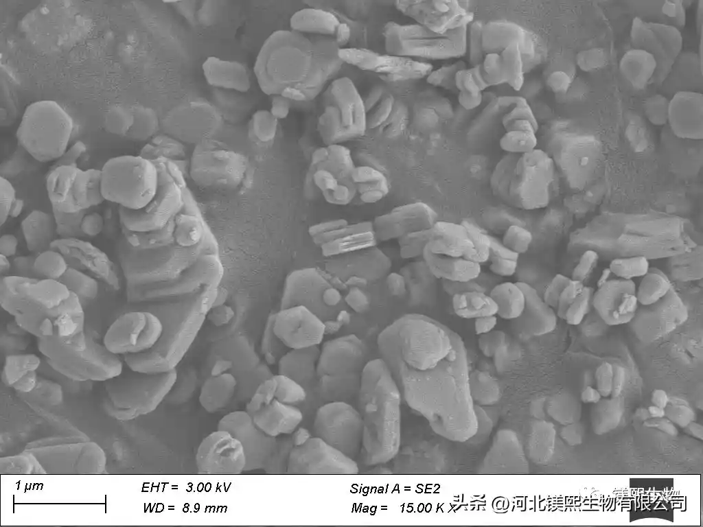 Preparation of hexagonal flake magnesium hydroxide by hydration of hydromagnesite calcined magnesium oxide 2