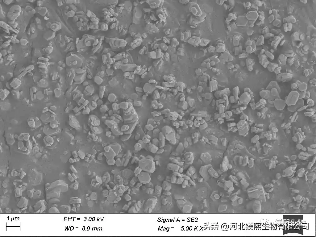 Preparation of hexagonal flake magnesium hydroxide by hydration of hydromagnesite calcined magnesium oxide