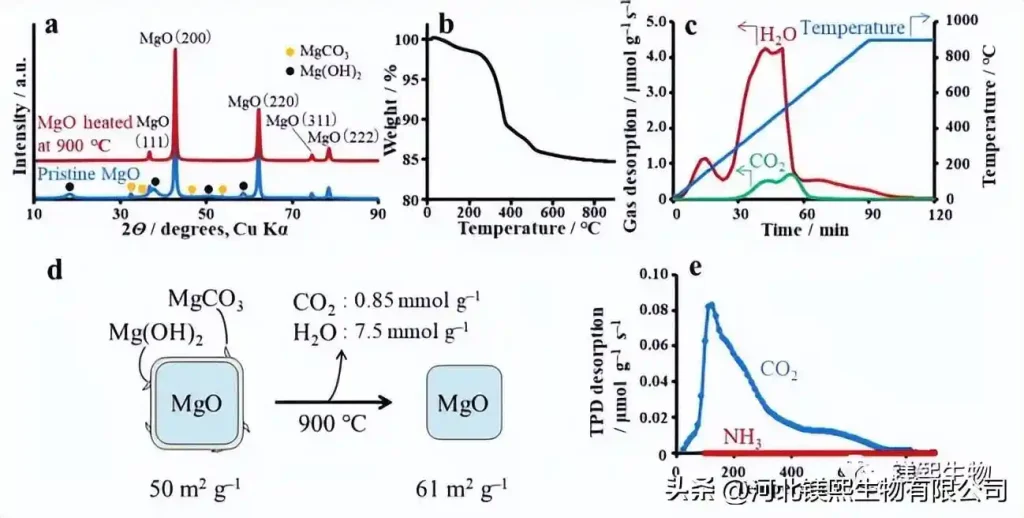 Preparation of Magnesium Oxide and Its Application in Catalytic Reaction