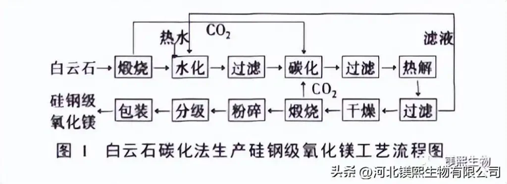 Preparation of Silicon Steel Grade Magnesium Oxide by Carbonization of Magnesium Ore 1