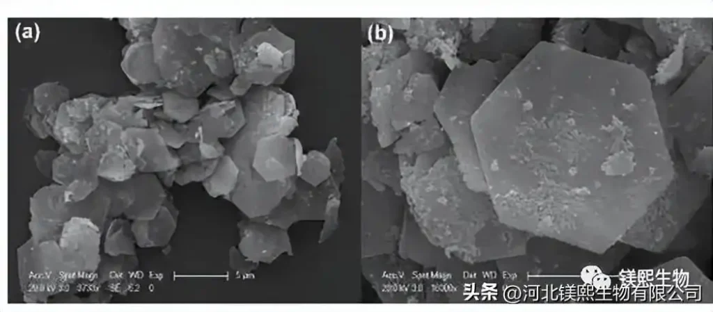 Tibet Mag Substitutes American Albemarle Hexagonal Magnesium Hydroxide Flame Retardant