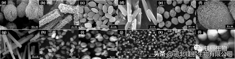 Preparation of Magnesium Oxide with High Specific Surface Area and Its Adsorption Performance and Mechanism for Lead in Wastewater