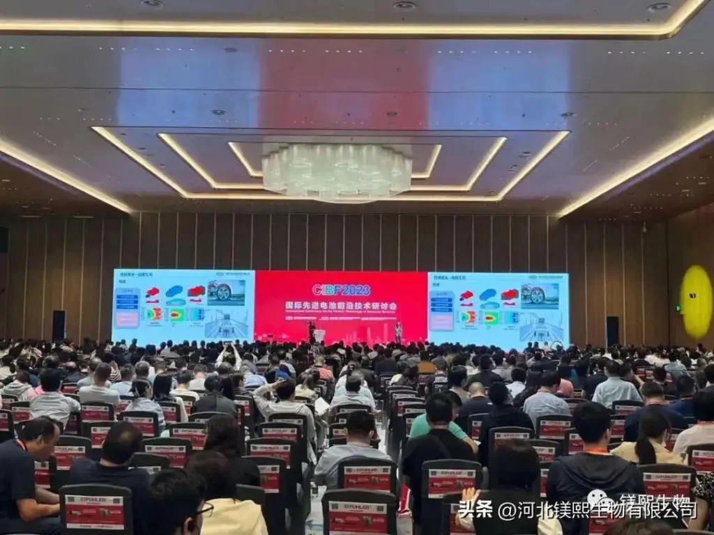 Tibet Mag participated in the 15th Shenzhen International Battery Technology Exchange Conference Exhibition CIBF2023 2