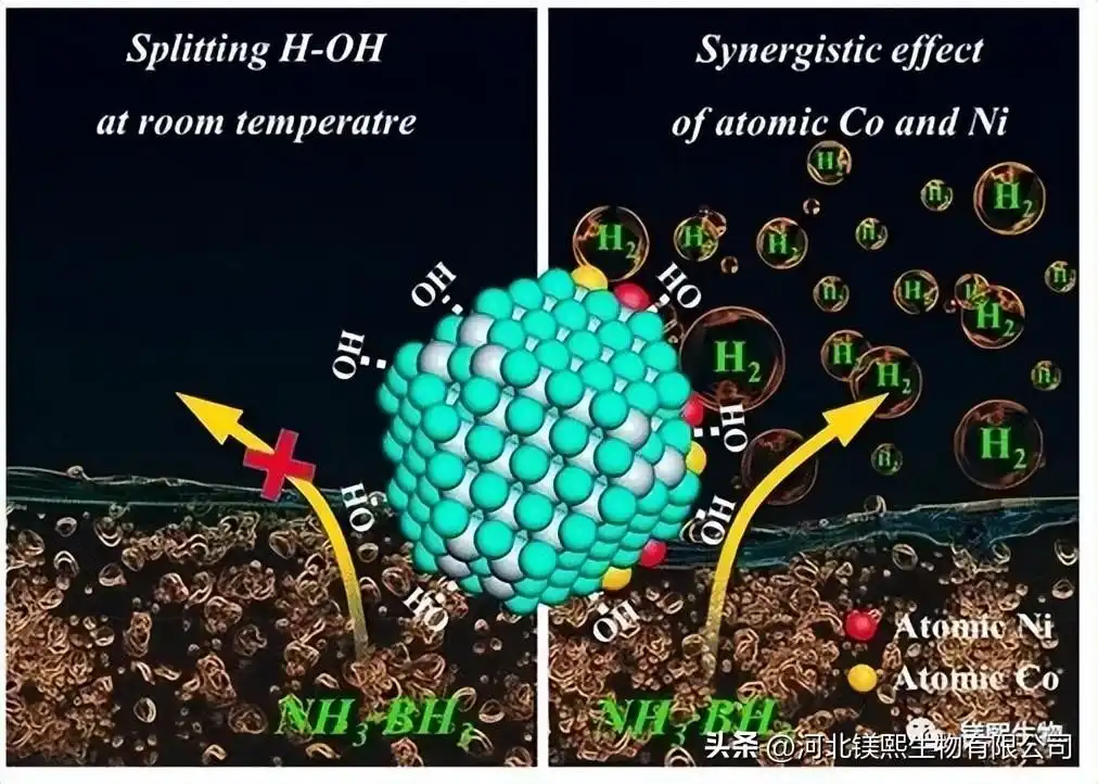 Application of Magnesium Oxide in Ruthenium-Based Ammonia Decomposition Catalyst for Hydrogen Production