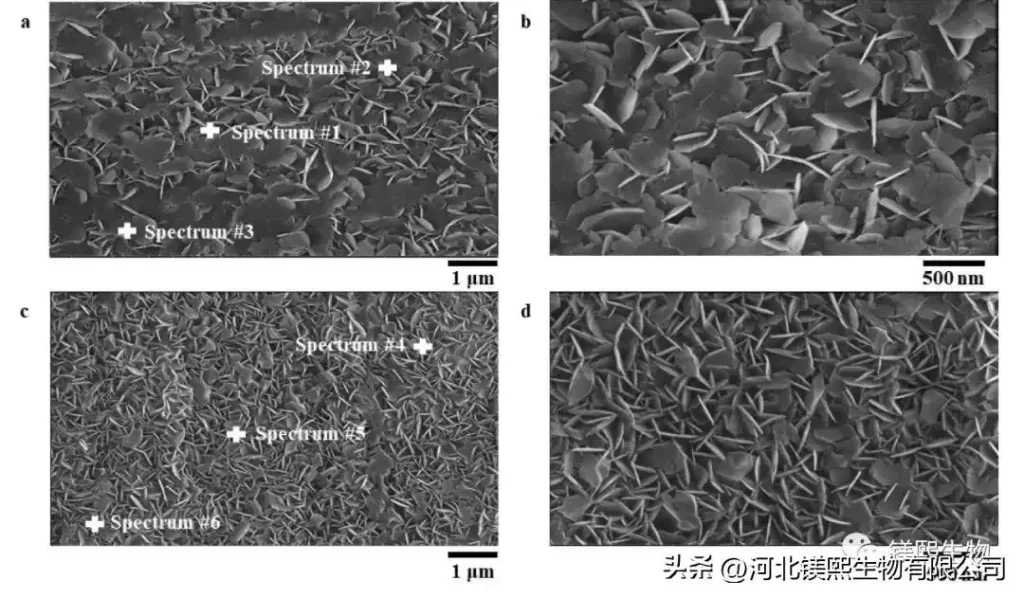 Preparation technology of nano magnesium oxide for battery