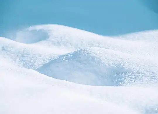 anti-detection camouflage in the snow background