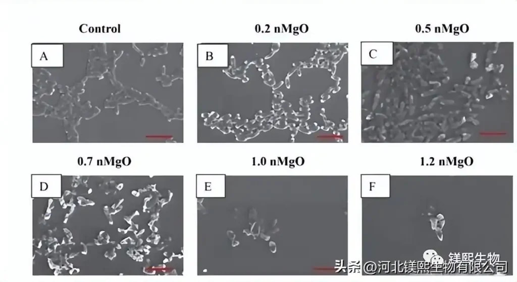 Effect of crystal form control agent on the morphology of nanometer magnesium oxide