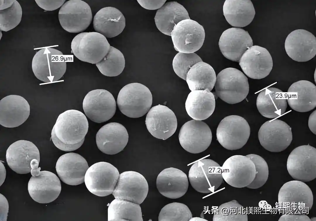 Properties and applications of magnesium oxide for thermal conductivity