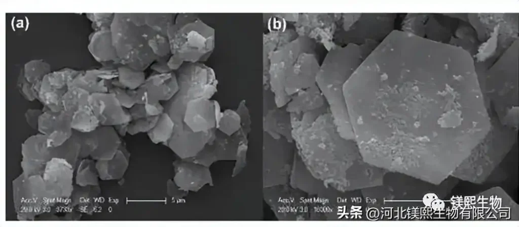Preparation of ultrafine magnesium hydroxide with special morphology from brucite 2